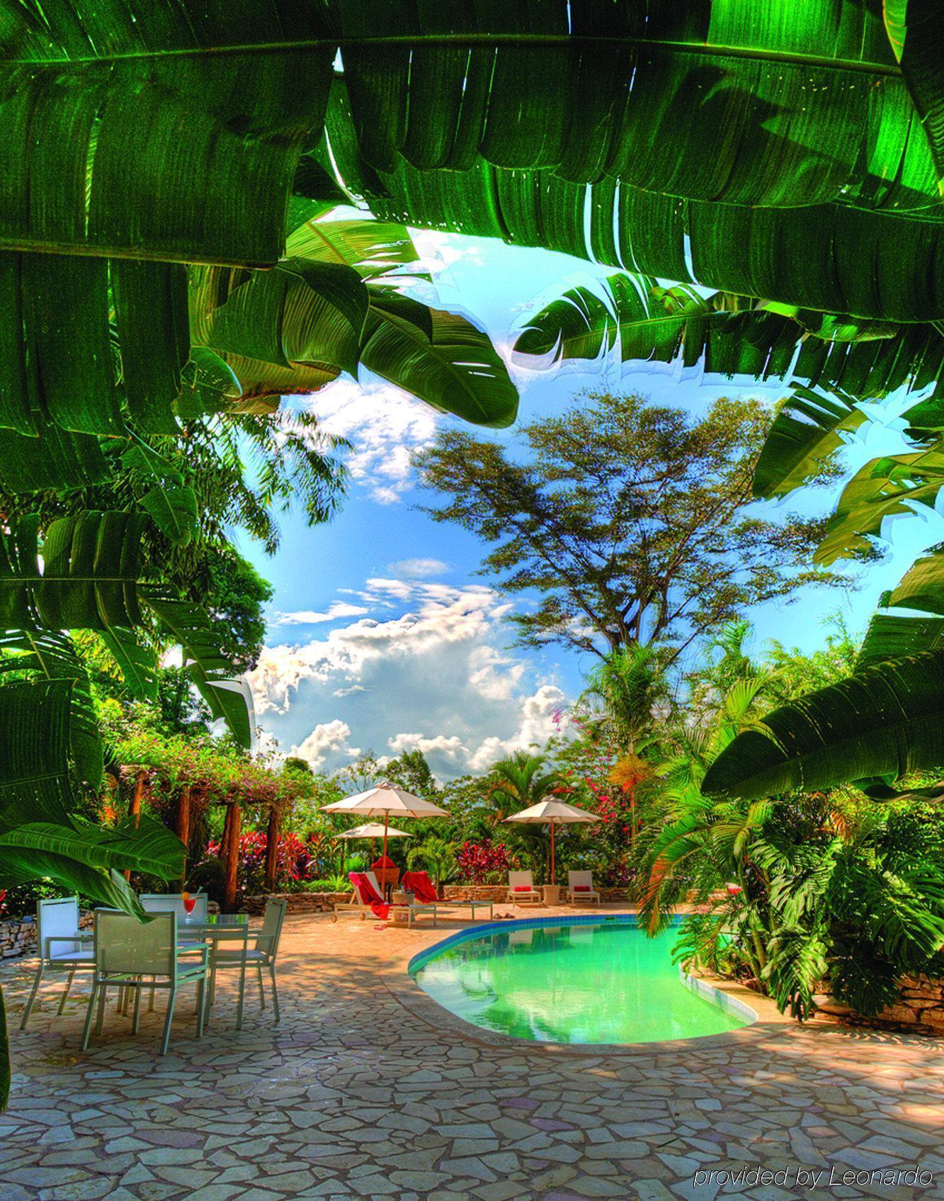 Machaca Hill Rainforest Canopy Lodge Punta Gorda Exterior photo